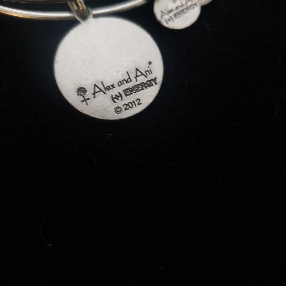 Alex and Ani Rafaelian Silver Delta Phi Epsilon 2012 - Picture 5 of 8